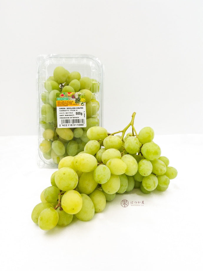 SP Itum V Green Grapes