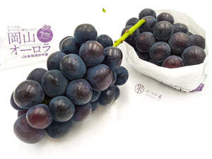 JP Okayama Aurora Black Grapes