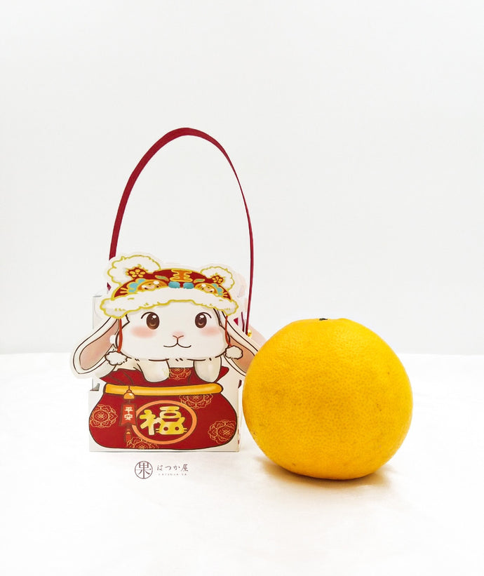 NY23 Mini Handcarry Honey Grapefruits  1pc