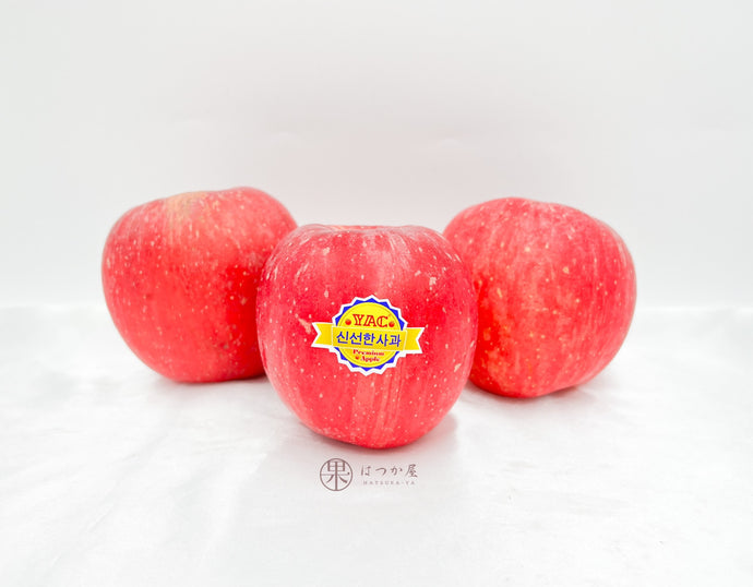 CN Rose Fuji Red Apple XL