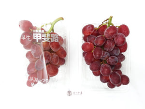 JP Yamanashi Kaiji Grapes