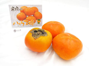 JP Nara Tone Wase Persimmon