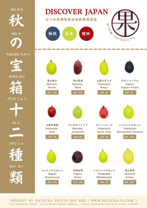 JP Assorted Premium Grapes 12 types