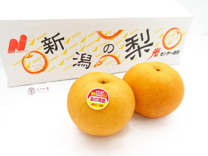 JP Niikata Shinko Pear