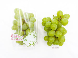 JP Okayama Alexandria Grapes