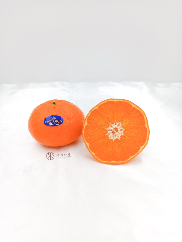 SP Jumbo Mandarin