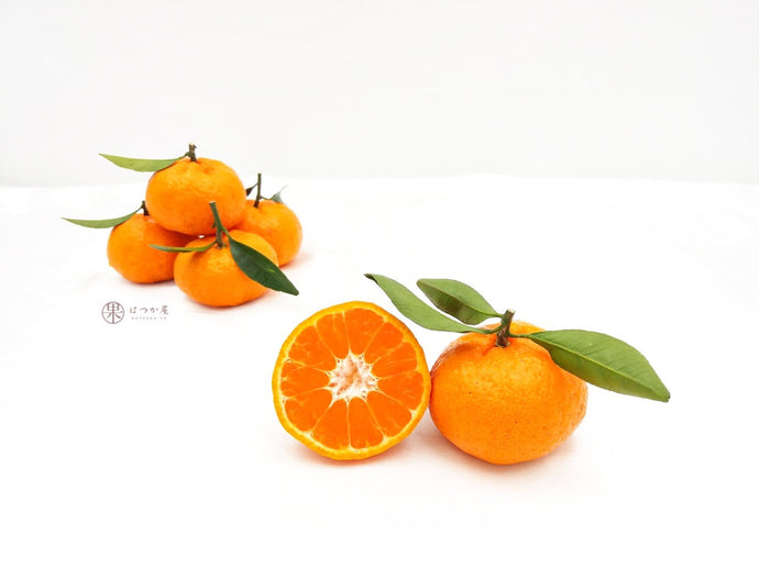 CN Sha Tang Mandarin Orange