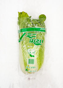 JP Aichi Cabbage