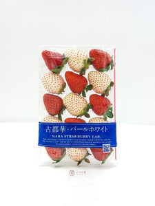 JP Nara Strawberry Lab Bi-colour