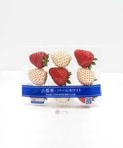 JP Nara Mini Strawberry Lab Bi-colour