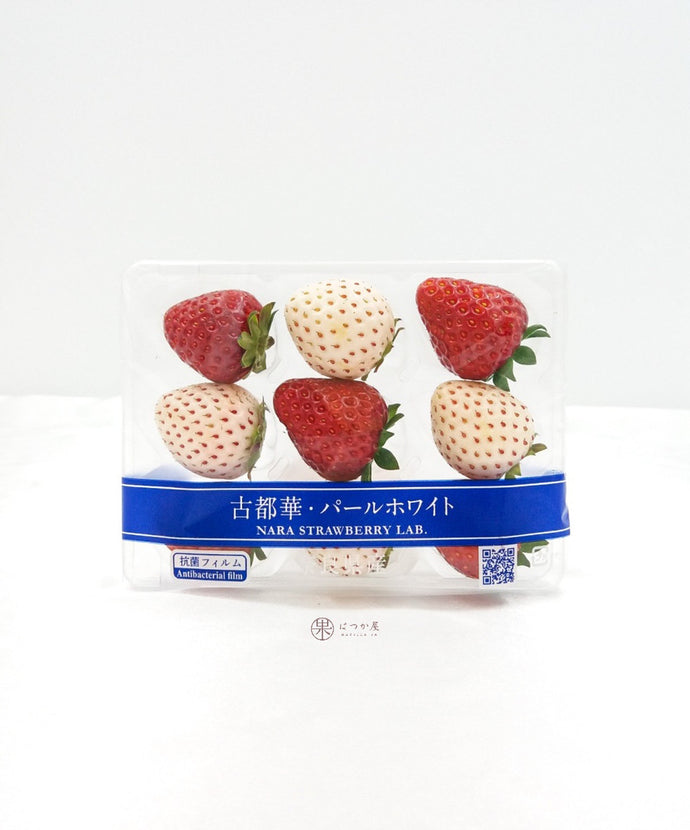 JP Nara Mini Strawberry Lab Bi-colour