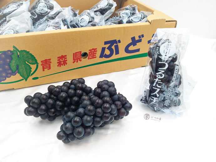 JP Aomori Steuben Grapes