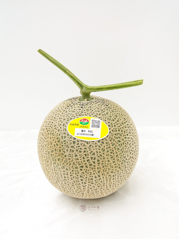 JP Kumamoto Earls Melon