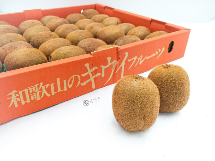 JP Wakayama Hayward Kiwi