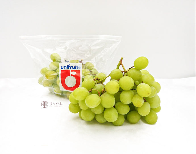 SA Sweet Globe Green Grapes