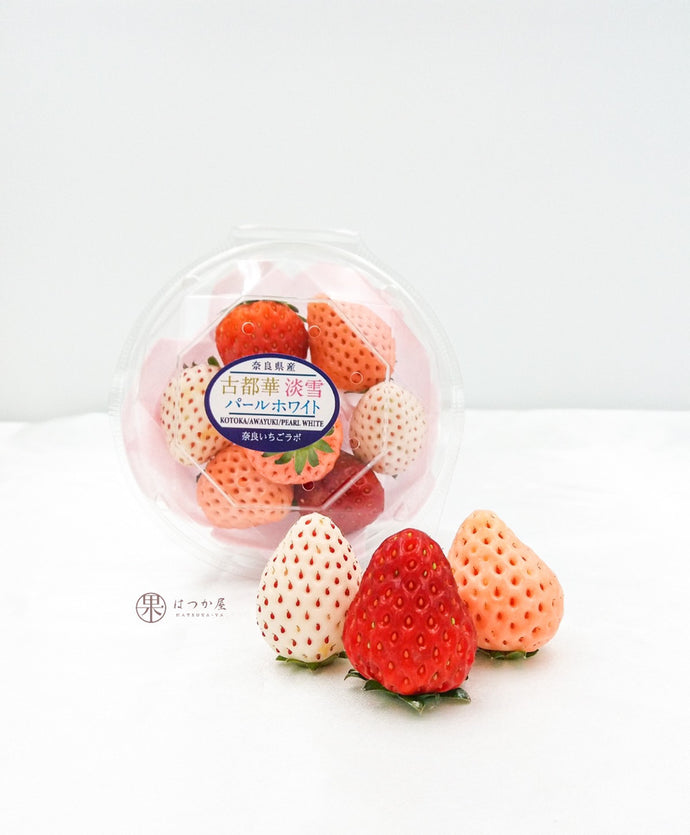 JP Nara Cup Strawberry Lab Tri-colour