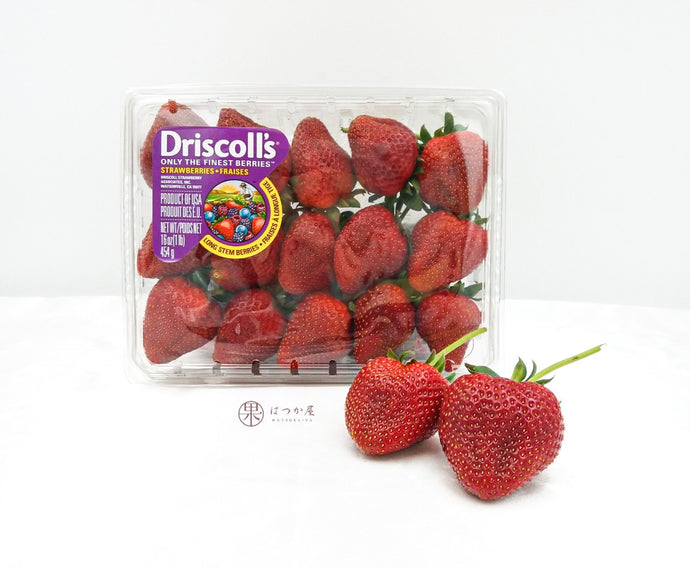 US Driscoll Long Stem Jumbo Strawberries