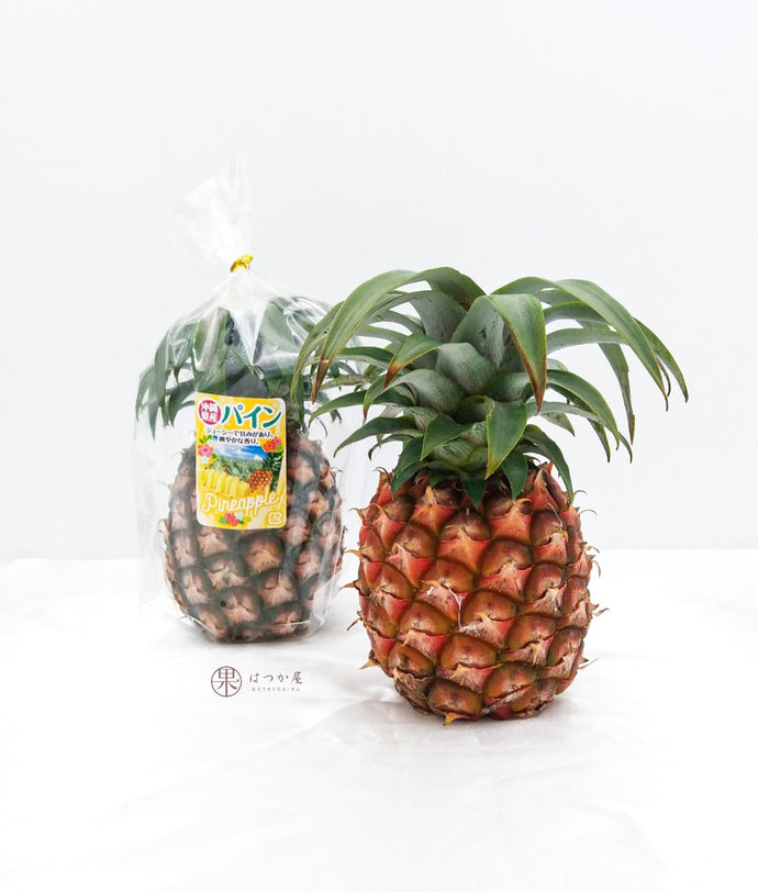 JP Okinawa Peach Pineapple