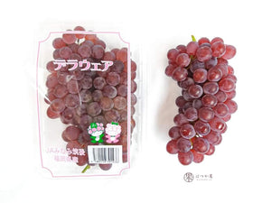 JP Fukuoka Delaware Grapes